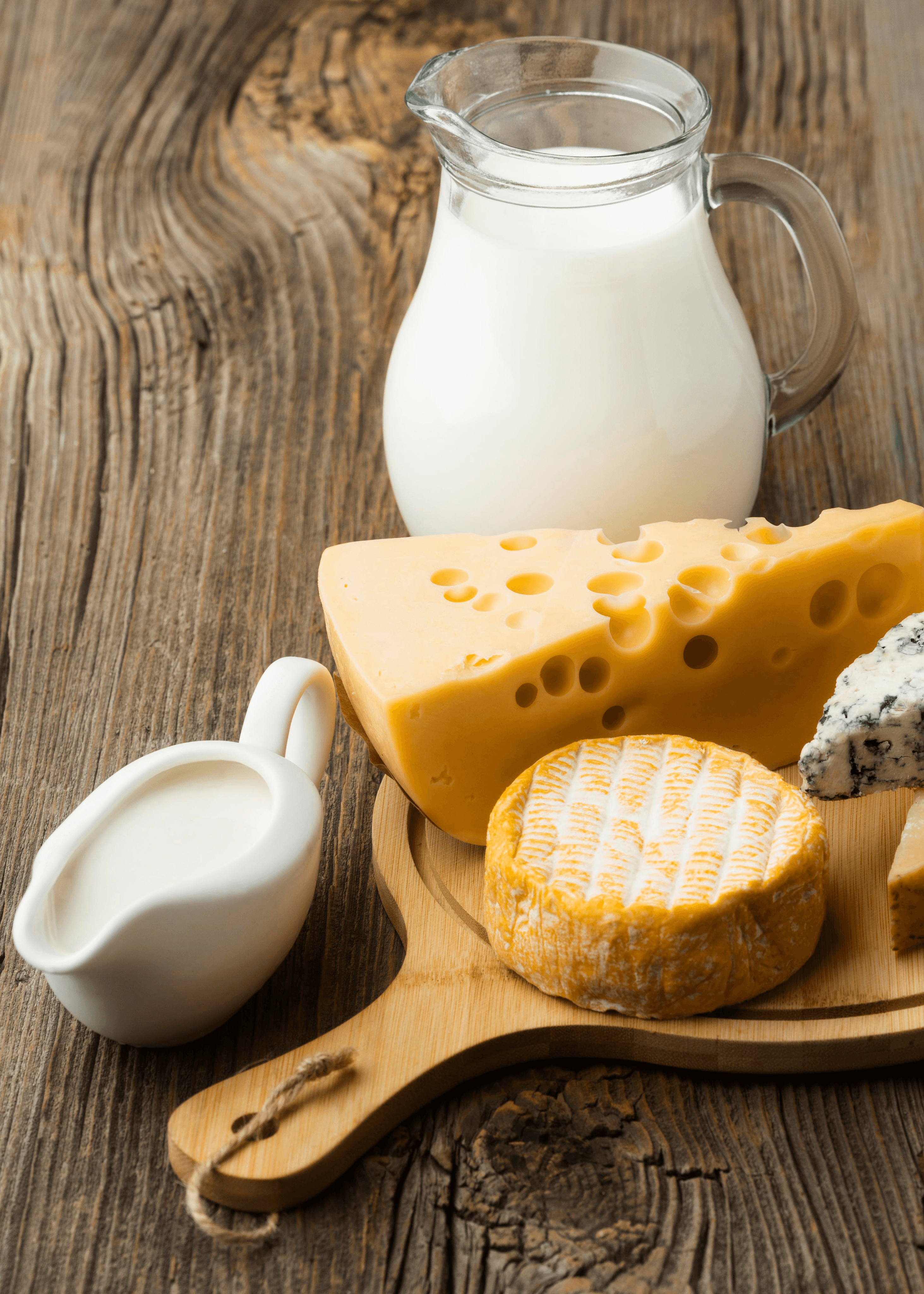 Zdjęcie kategorii z TARGOLISKA